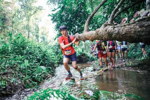 BIB: 
                            <button type="button" onclick="openModal(25454740)" class="btn btn-primary btn-sm float-right btn-popup" data-toggle="modal" data-target=".modal-high-quality">
                        <i class="fas fa-shopping-cart"></i> Add to Cart
                    </button>
                                            <button type="button" onclick="isThisMe(25454740, true)" class="btn btn-success btn-sm float-right btn-popup btn-isme hidden" data-toggle="tooltip" data-placement="bottom" title="นี่คือรูปของคุณใช่ไหม คลิกที่นี่เพื่อเอาเข้าอัลบั้ม">
                        <i class="fas fa-plus"></i> Add to album
                    </button>
                    <button type="button" onclick="isThisMe(25454740, false)" class="btn btn-warning btn-sm float-right btn-popup btn-isnotme hidden">
                        <i class="fas fa-ban"></i> Remove from album
                    </button>